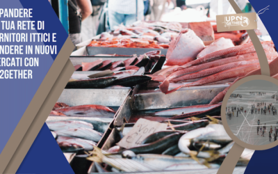 Espandere la tua rete di fornitori e ampliare il mercato con UP2gether riduce i rischi e garantisce la sicurezza della tua azienda ittica.