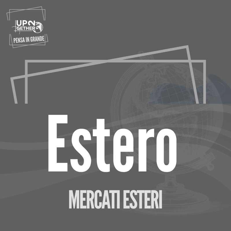 UP2gether settore estero internazionalizzazione EU Africa Belgio Svizzera Francia con Barbara de Siena UP2gether settore estero internazionalizzazione EU Africa Belgio Svizzera Francia con Barbara de Siena